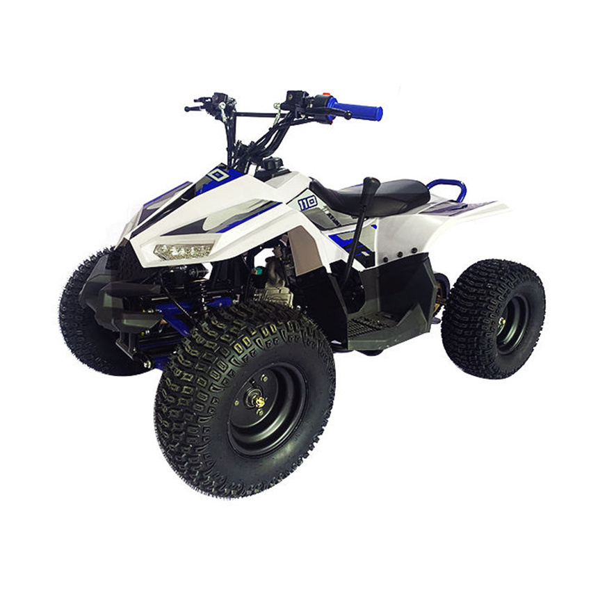 New high quality 110L 4 stroke gas powered kids quad bike ATV four wheeler with CE