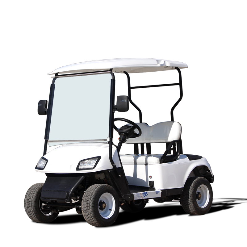 Factory Direct custom 2/4/6/8 seater off-road electric Golf cart High speed Mini 4 seater Golf Club car ATV Classic