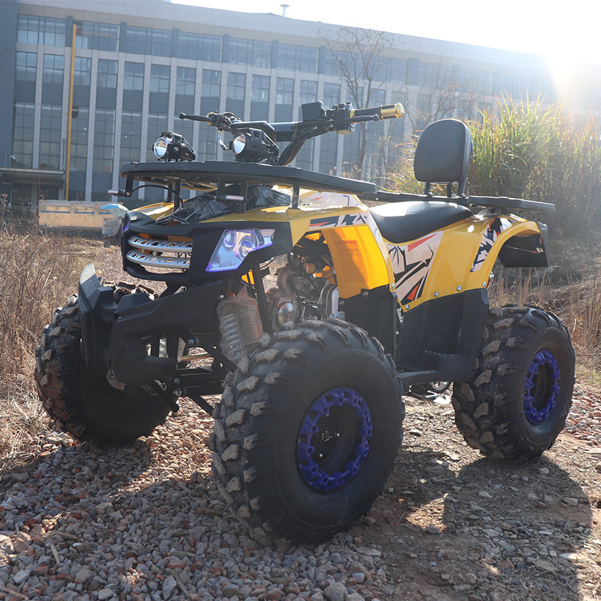 New Design 125cc 4 Wheeler Quad ATV Quad Bikes ATV