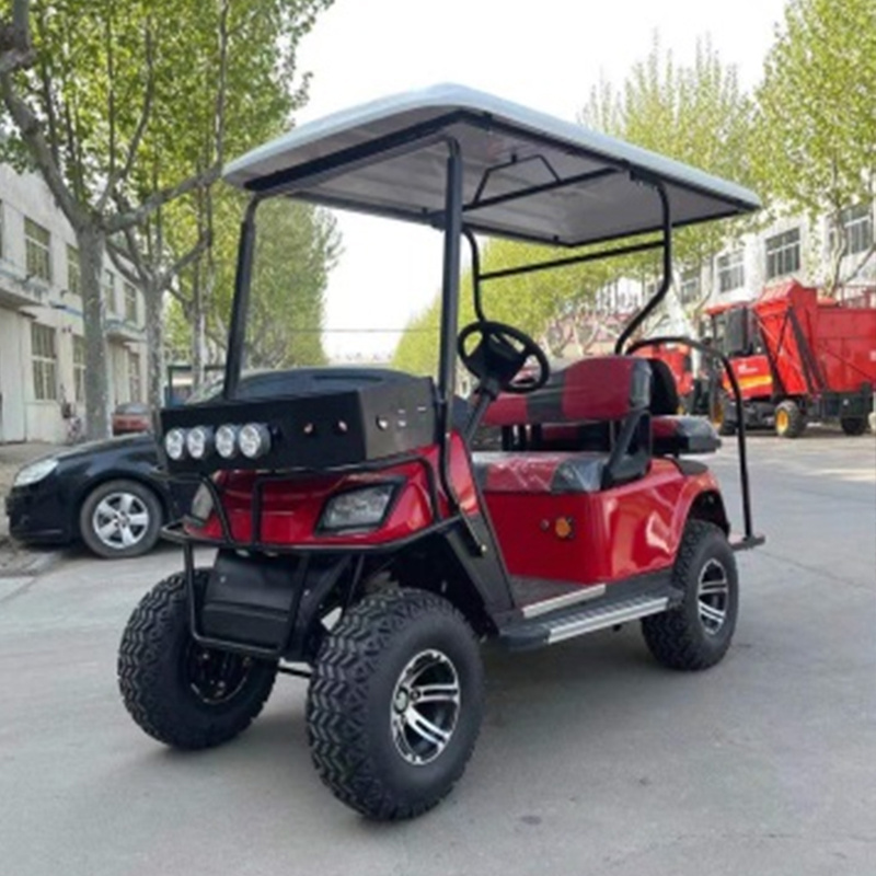 The New Fashion High Performance 2 Seater Golf Cart With Electric Golf Cart Is Suitable For Hotel Reception