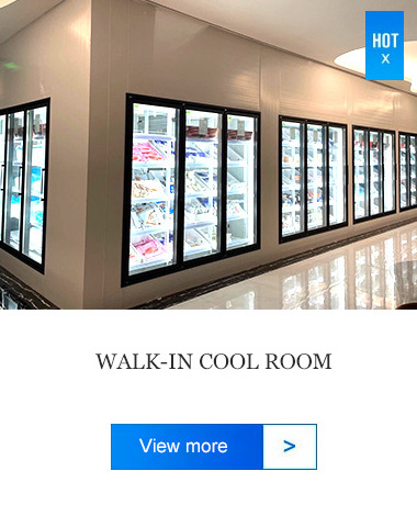 Super quality walk in freezer cooler doors cold storage beer cave glass door with shelves and LED light