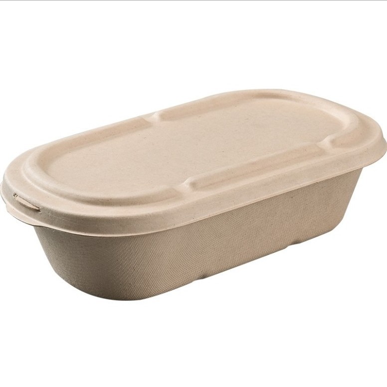 Restaurant Use Lunch Box Wheat Straw Disposable Food Container Biodegradable Lunch Box