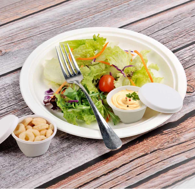 4oz Disposable Condiment Portion Cups with Lids Bagasse Fiber Souffle Cups Snack Small Sauce Containers with Lids