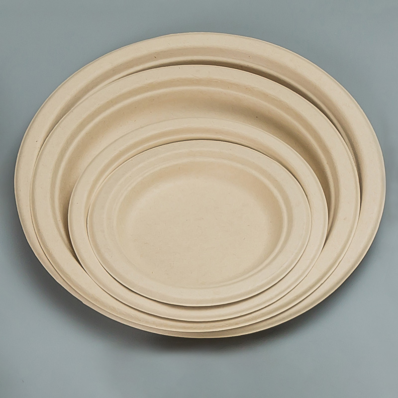 Biodegradable Bagasse Pulp Tableware Plate Lunch Food Plate Disposable Paper Dish