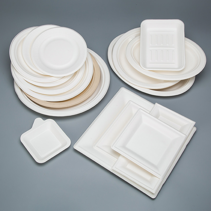 Biodegradable Bagasse Pulp Tableware Plate Lunch Food Plate Disposable Paper Dish