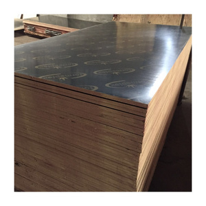 Construction use melamine plywood sheet film faced plywood