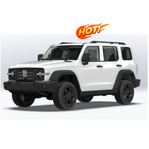 2023 Tank 300 Gasoline Vehicles 2.0T Great Wall GWM Tank 300 SUV for UAE