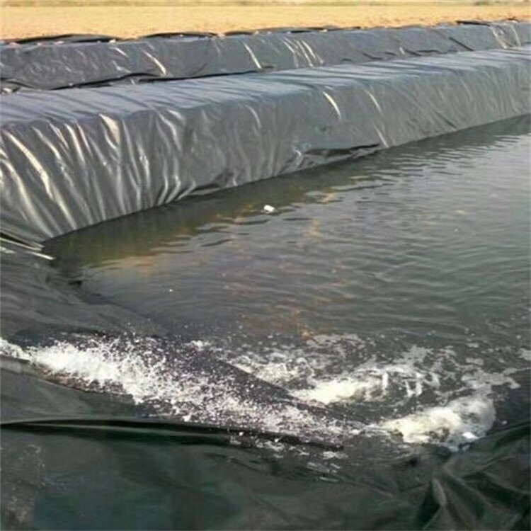 plastic polyethylene waterproof HDPE geomembrane fish pond liner dam liner