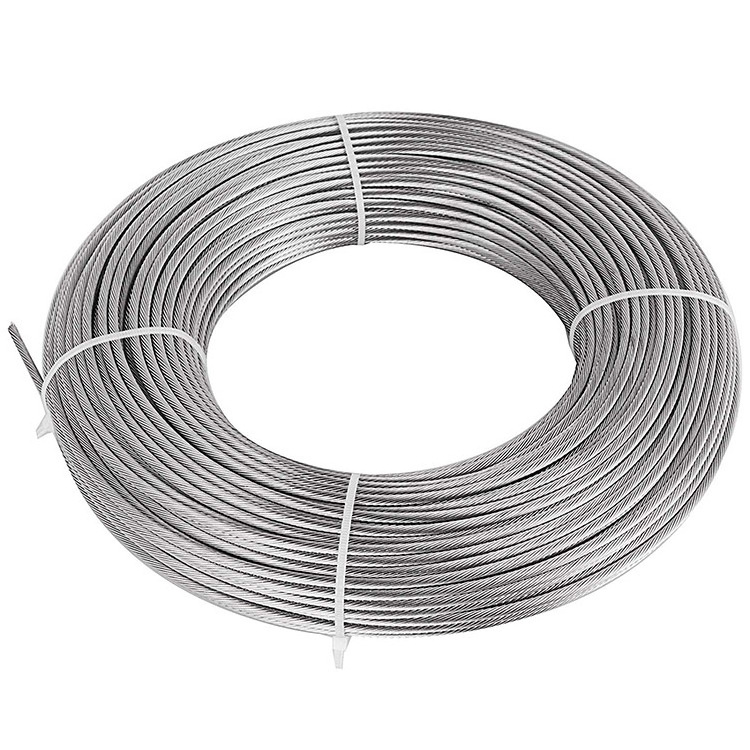 Galvanized Wire Wholesale High Quality 12/16 Gauge Electro Galvanized Hot Dip Wire Q195 Low Carbon Steel Construction 1 Ton Aisi