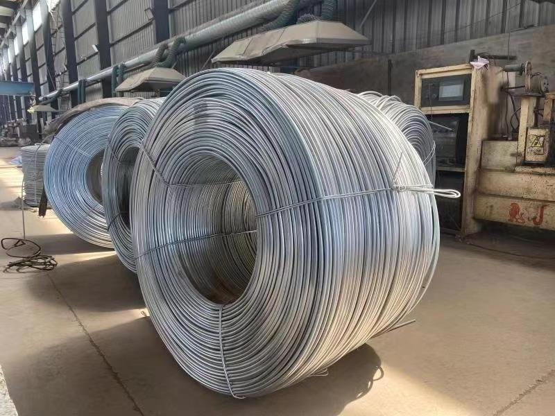 Shandong sale electro/hot dip galvanized steel wire for building