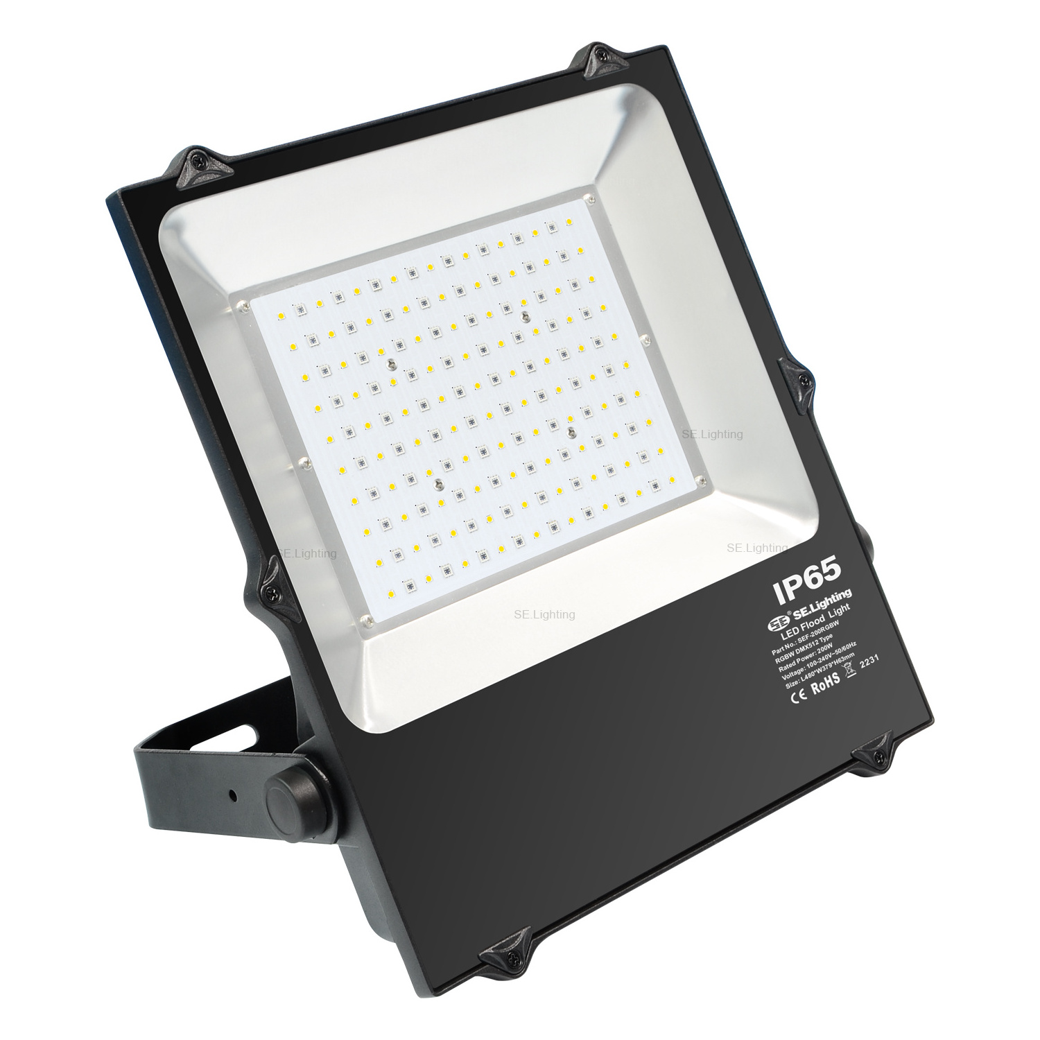 High Watts 100W 150W 200W DMX RGBW dimmable Outdoor LED Flood Light For Outdoor Garden