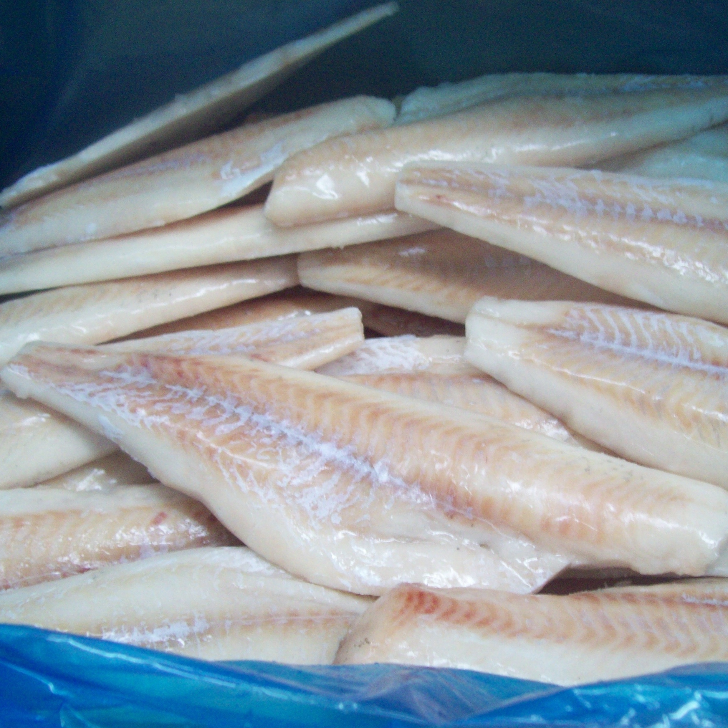 frozen pacificd/atlantic cod fish fillet