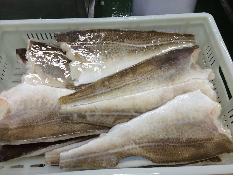 frozen pacificd/atlantic cod fish fillet