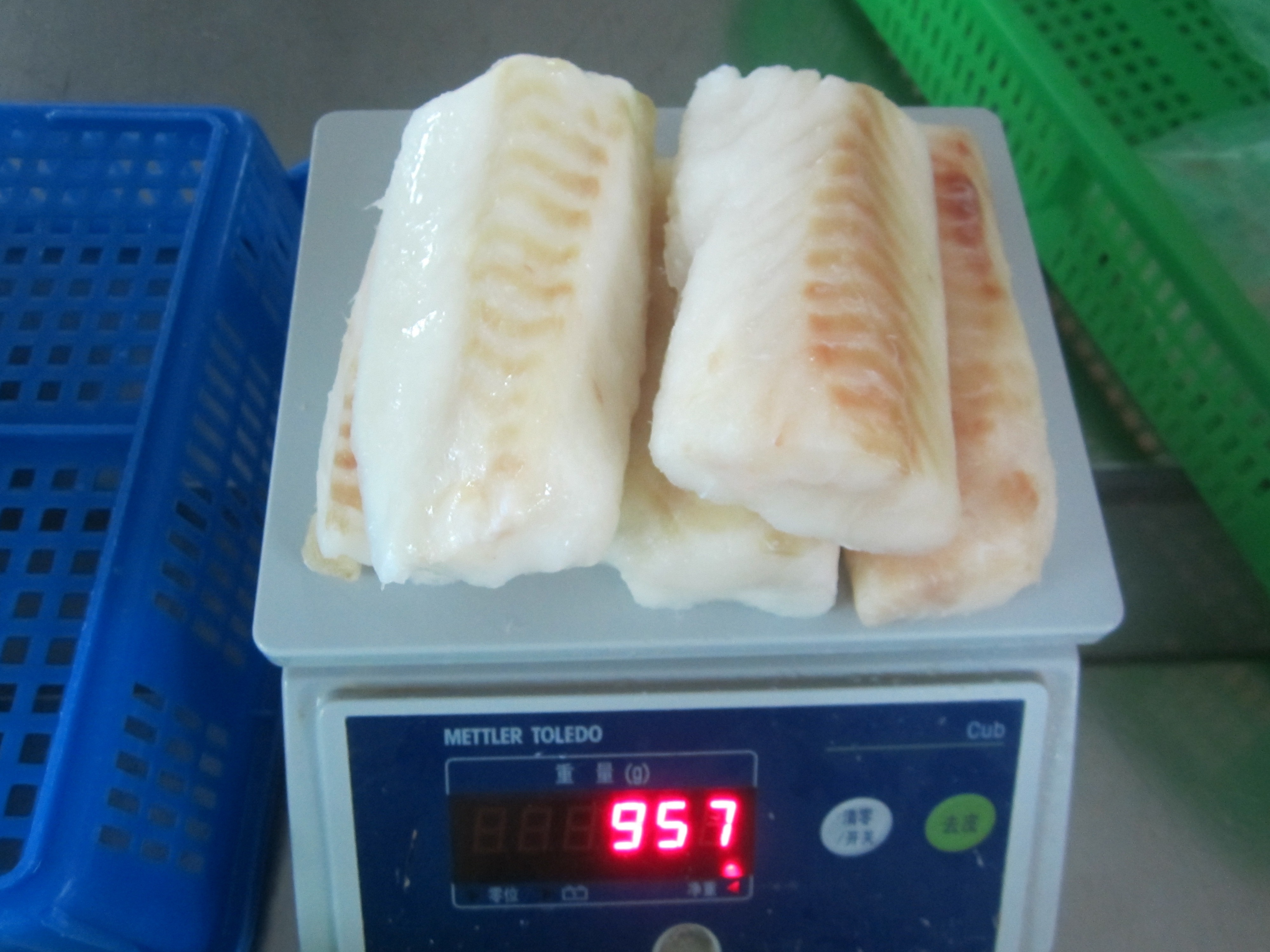 frozen pacificd/atlantic cod fish fillet