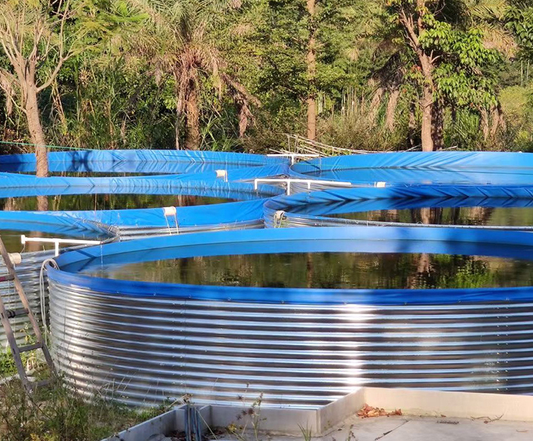 Large plastic fish containers Galvanized steel large commercial fish tanks 100000 Litre for farm irrigation fish breeding