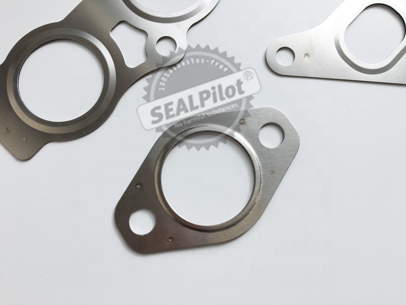 SEALPilot OEM high quality Metal ring Gasket Metal Flat Gasket