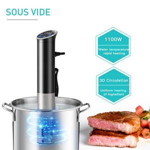 Wancle 2024 newest Portable Sous Vide  Waterproof IPX7 Wifi Sous vide immersion slow cooker for food Vacuum sealer machine