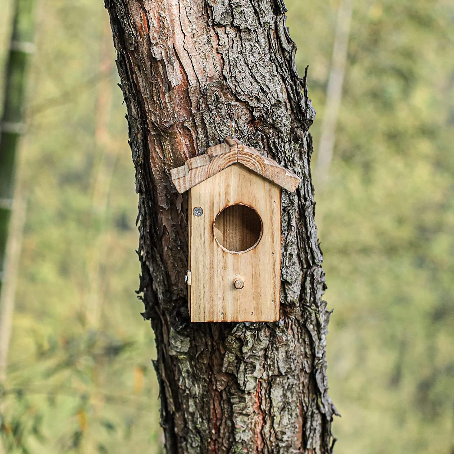 Wholesale Small Size Bird House Outdoor Hanging Wooden Bird House