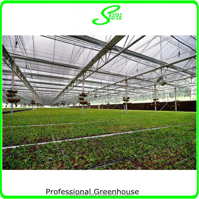 Hot sale glass greenhouse used for flower