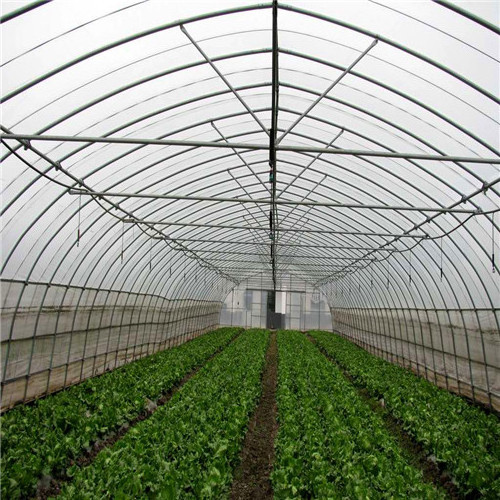 Low cost used commercial greenhouse framing for sale