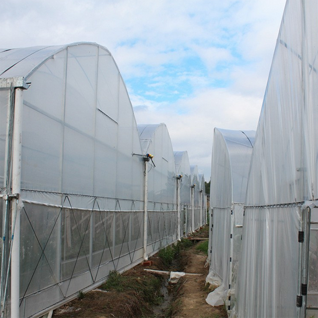 Low cost multi span used commercial greenhouses for sale