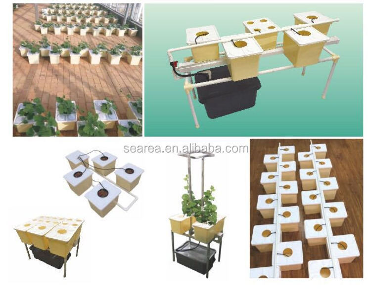 2023 Searea Hydroponic Dutch Bucket Bato Bucket for Hydroponic Planting