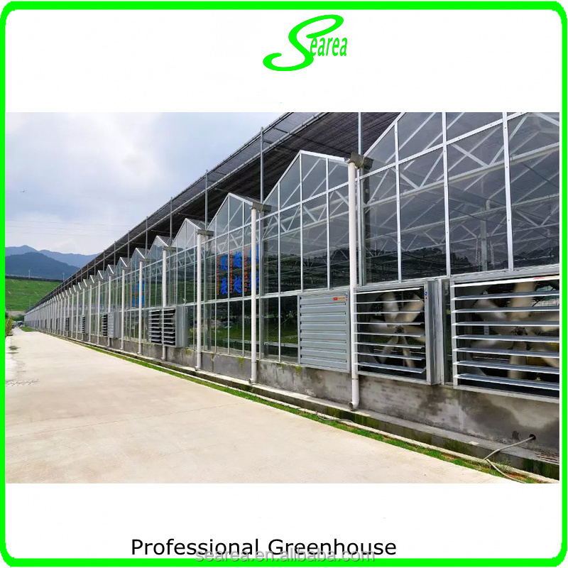 Hot sale glass greenhouse used for flower