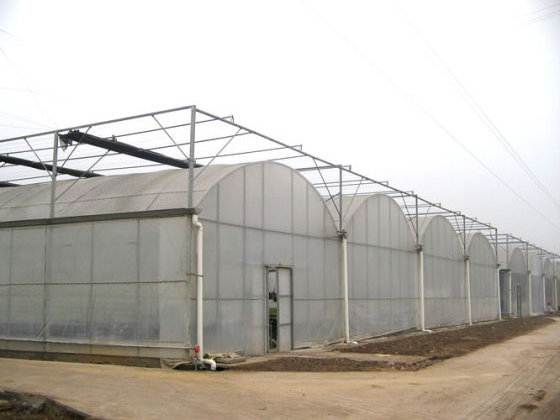 Low cost multi span used commercial greenhouses for sale