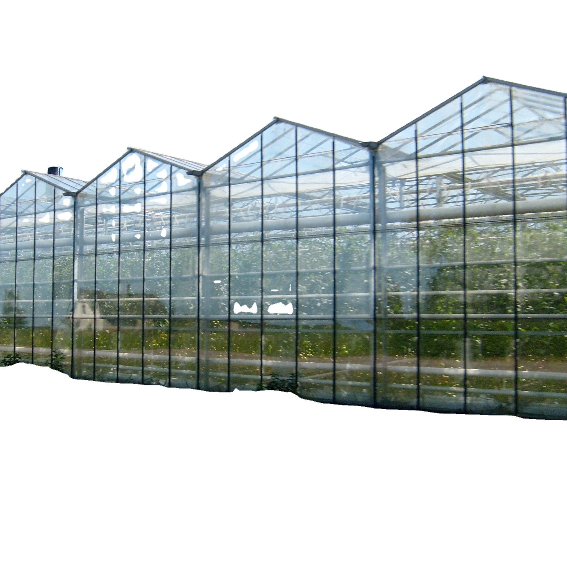 Hot sale glass greenhouse used for flower