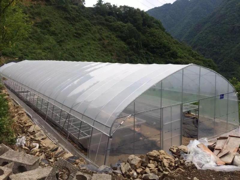 Low cost multi span used commercial greenhouses for sale