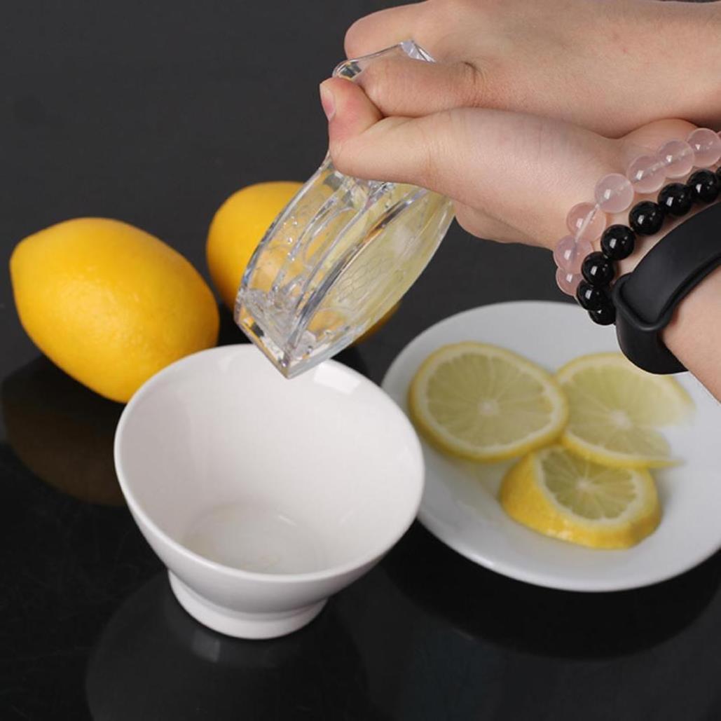 Seaygift dropshipping europe custom plastic acrylic manual transparent small fruit juicer art bird lemon juicer squeezer