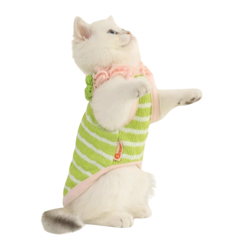 Hot-selling Cat Spring and autumn summer sling pet thin cat vest Cat clothes