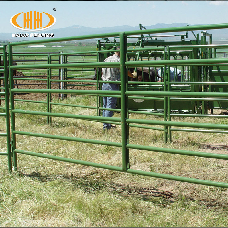 2021 Hot Selling USA 12 ft Heavy duty Livestock Cattle Corral Fence and Horse Round Pen Panels