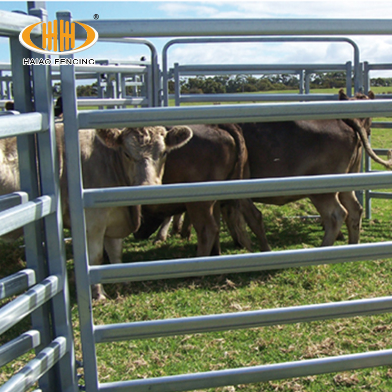 High quality factory supply australia standard 12ft galvanized farm yard livestock cow cattle fence panels for sale