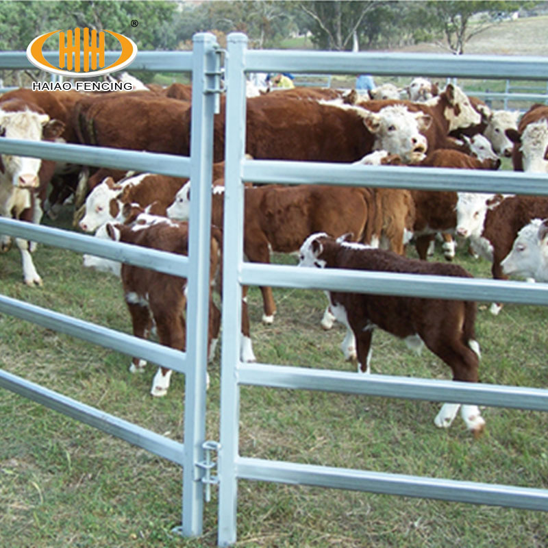 Wholesale bulk high quality Australia standard galvanized metal cattle corral livestock farm yard fence panels