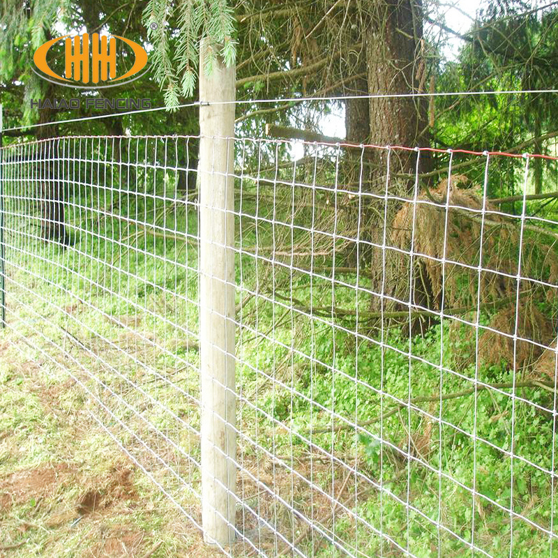 Cheap 8' fixed knot galvanised goat sheep hog game wire field deer farm fencing for goat