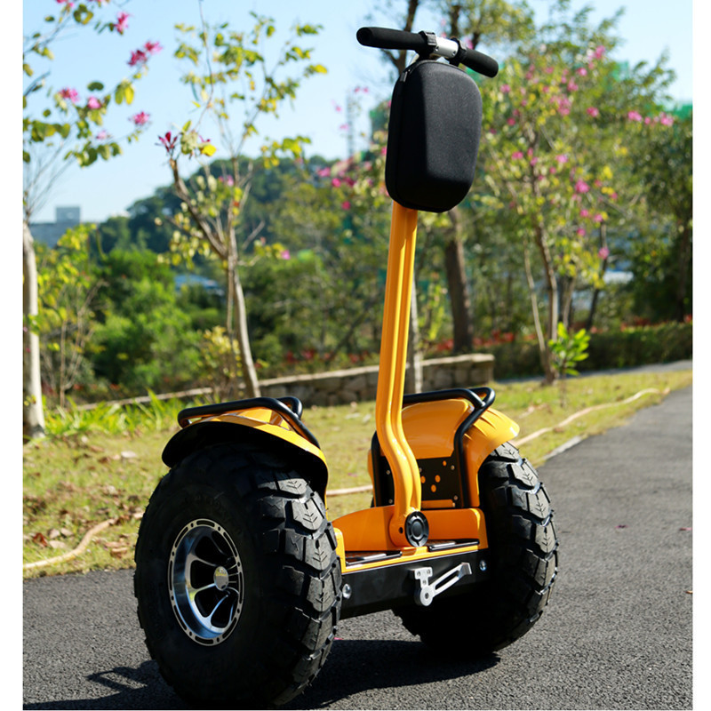 2021 New Self Balancing 2 Wheel Folding Wind Rover Stand Up Board Golf Backpack Electric Scooter Adult With Bag