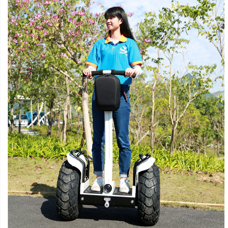 2021 New Self Balancing 2 Wheel Folding Wind Rover Stand Up Board Golf Backpack Electric Scooter Adult With Bag