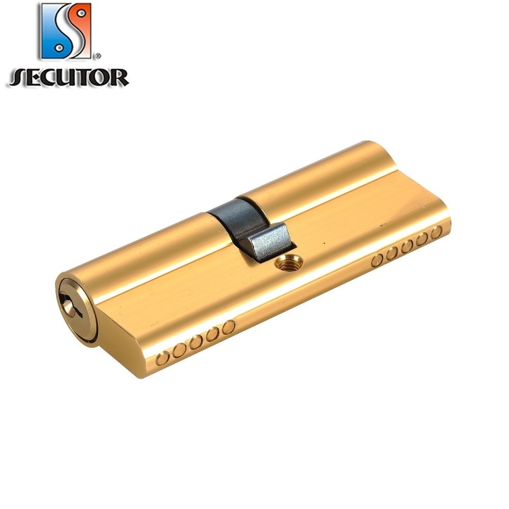 Master Key Safe Brass Euro Lock Profile Cylinder/key master french door locks