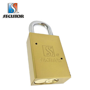 IC Removable Core USA Aluminium Pad Lock