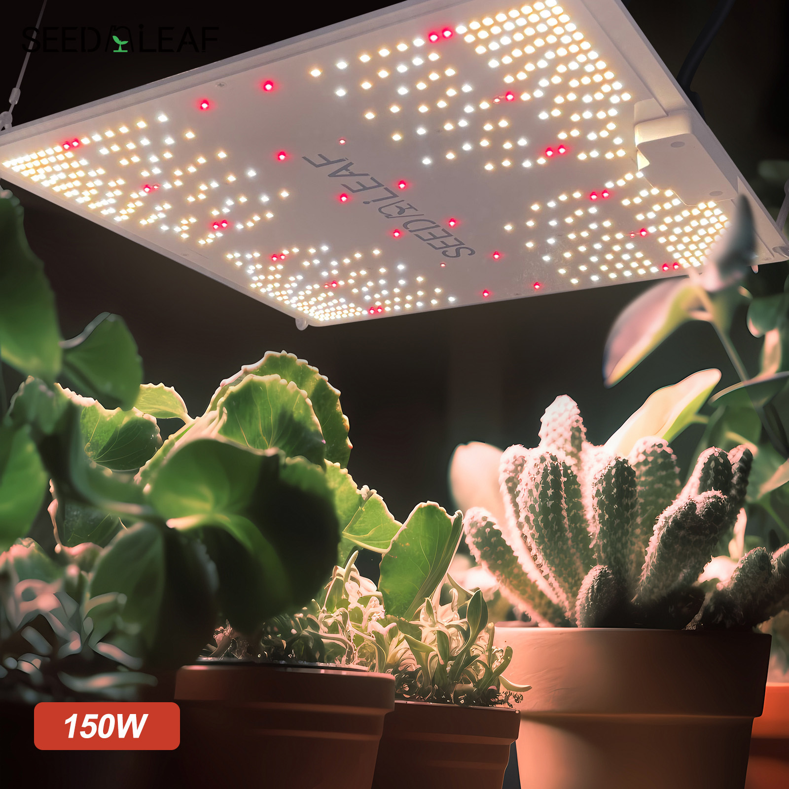 Factory Custom Grow Light Samsung Quantum Panel Board Full Spectrum LED Grow Light for Indoor Plant