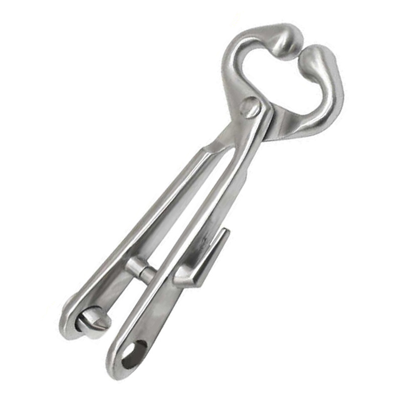 Premium Quality Bull Nose Ring Holder Stainless Steel Cow Nose Lead / Cattle Nose Pliers with Chain