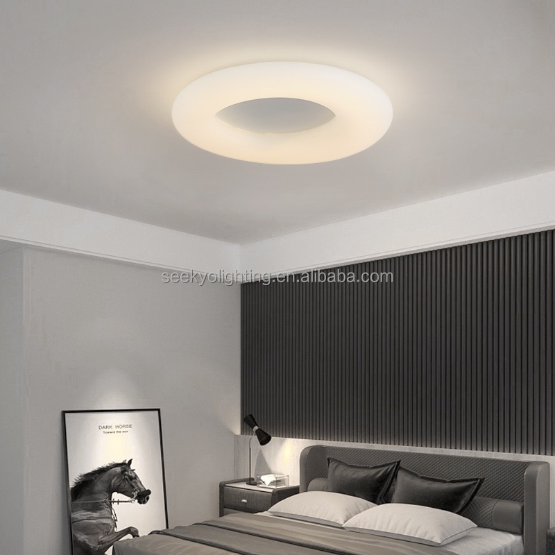 Indoor Acrylic Ceiling Light Donut Led Ceiling Light Lamp Modern Bedroom For Ceiling Lamp Decorative