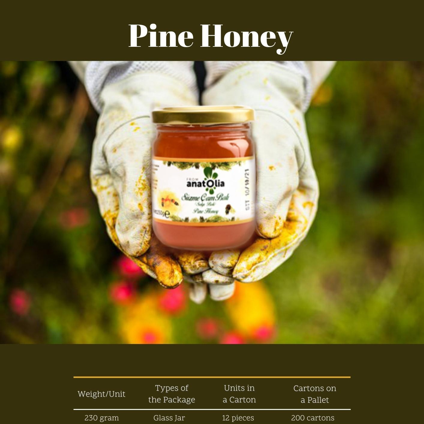 From Anatolia Liquid Pine Honey %100 Pure Raw Honey Natural additive 850 Gr Filtered Pine honey Glass Jar