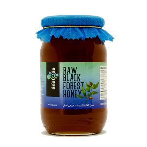 Best Sale From Anatolia %100 Organic Liquid High-Quality Honey  Black Forest Honey In A Glass Jar Honey 480 Gr