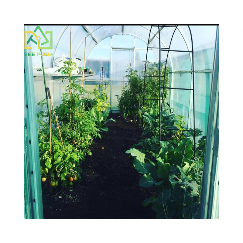 Garden shed greenhouses used for seasonal vegetables