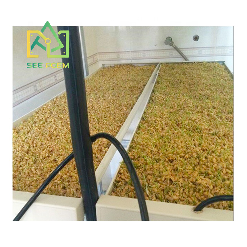 On Sale Commercial NFT hydroponic vertical fodder system