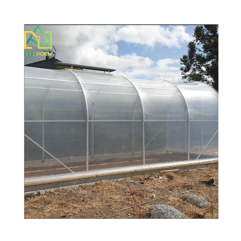 Garden shed greenhouses used for seasonal vegetables