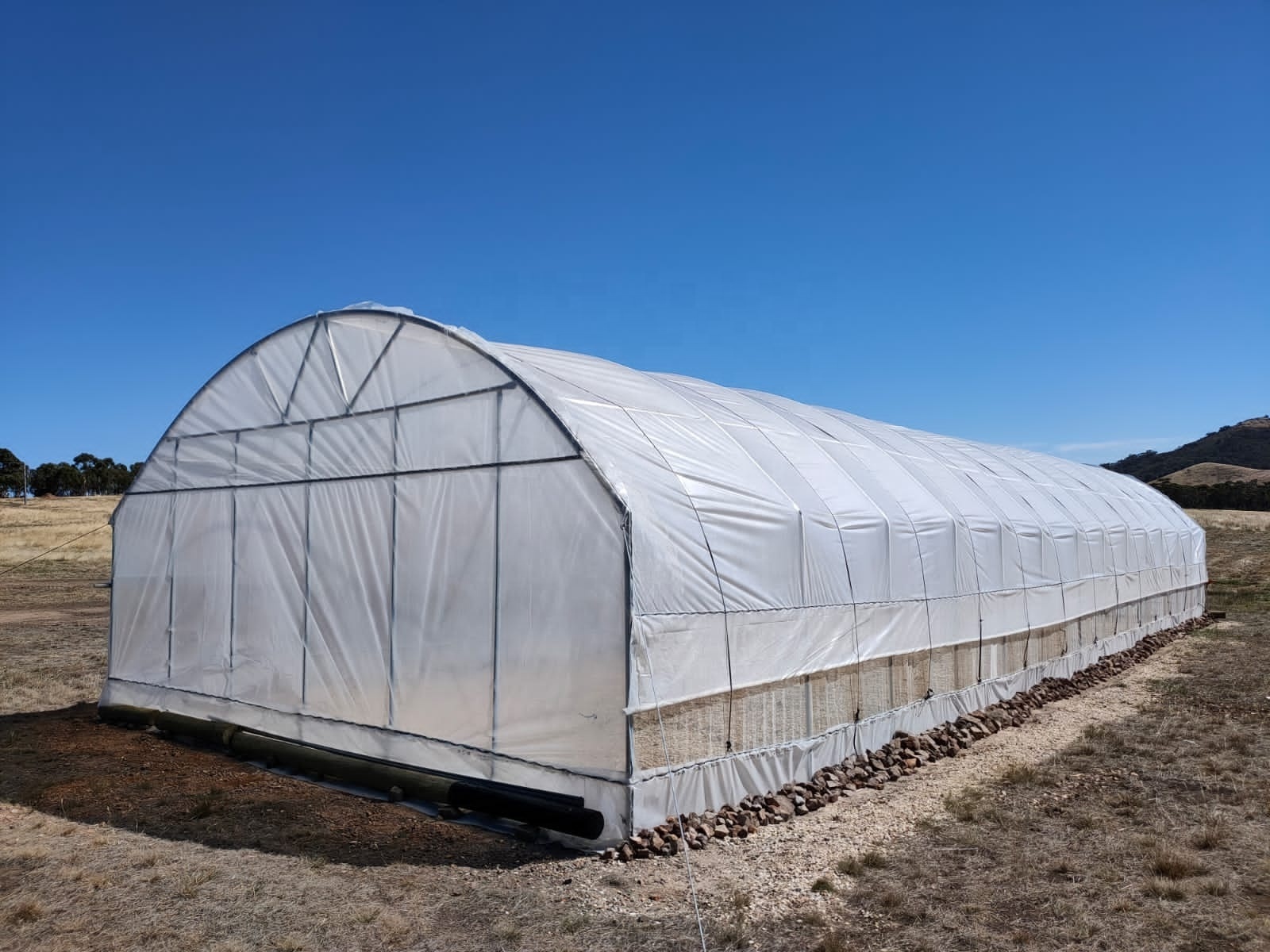 Greenhouse for Outdoors, Upgraded Swing Door, Heavy Duty Galvanized Steel Frame Tunnel Greenhouse kit, Reinforced PE Cover