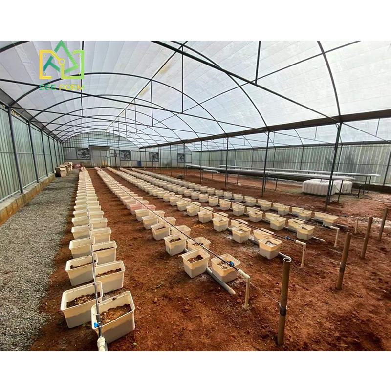 Agriculture Dutch Bucket green houses with irrigation systems